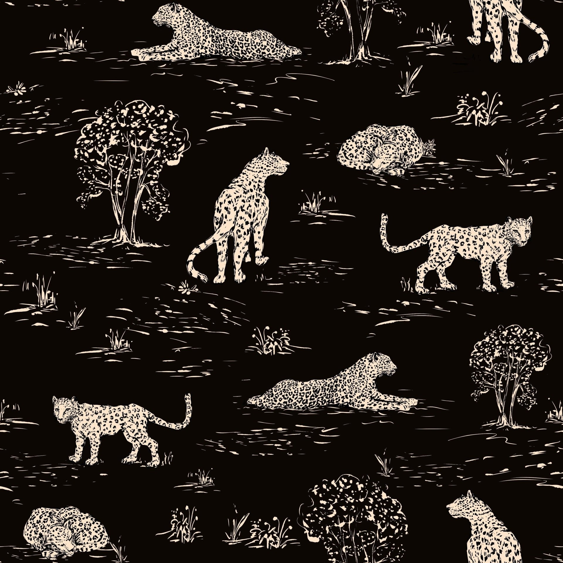 Leopards Resting - Tomono