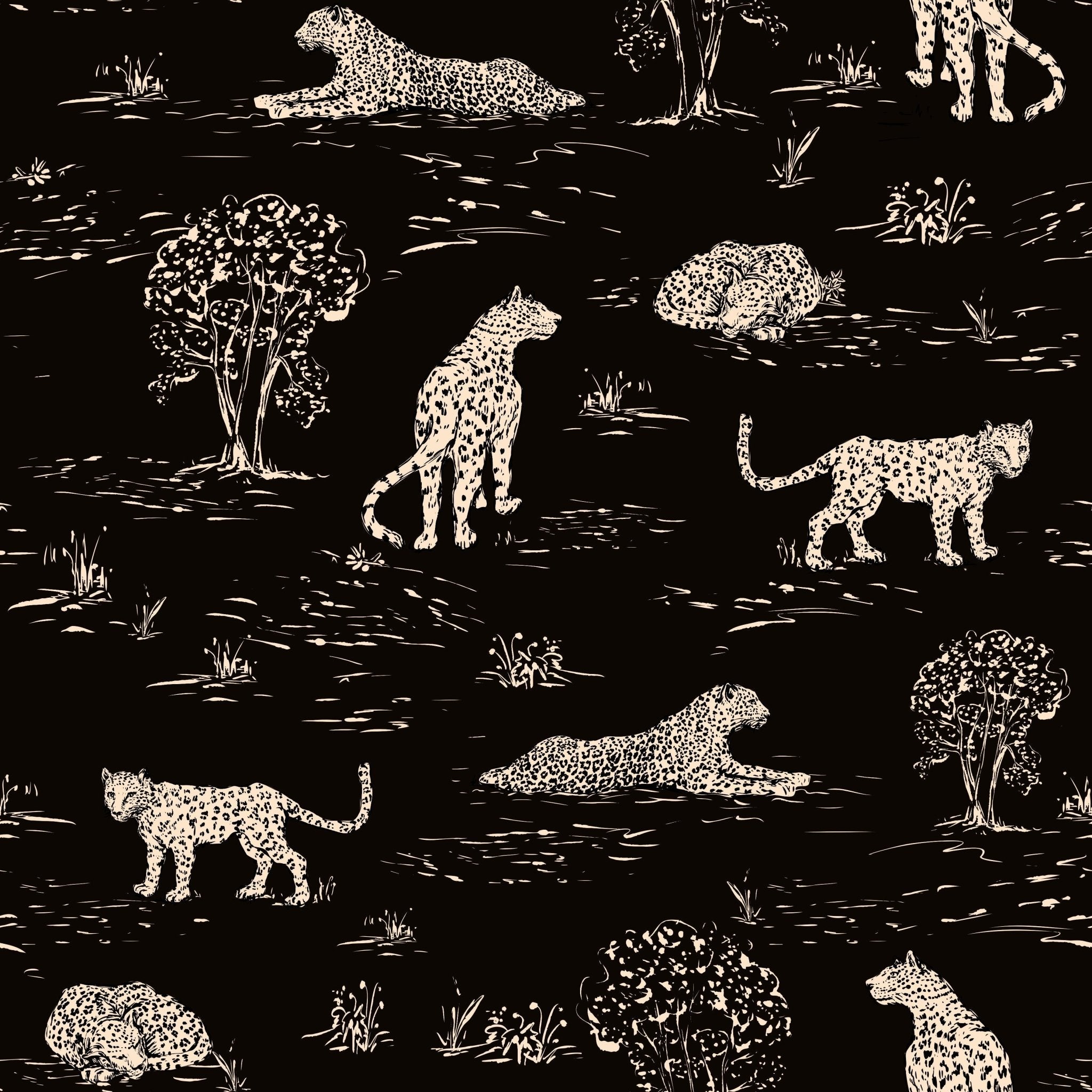 Leopards Resting - Tomono