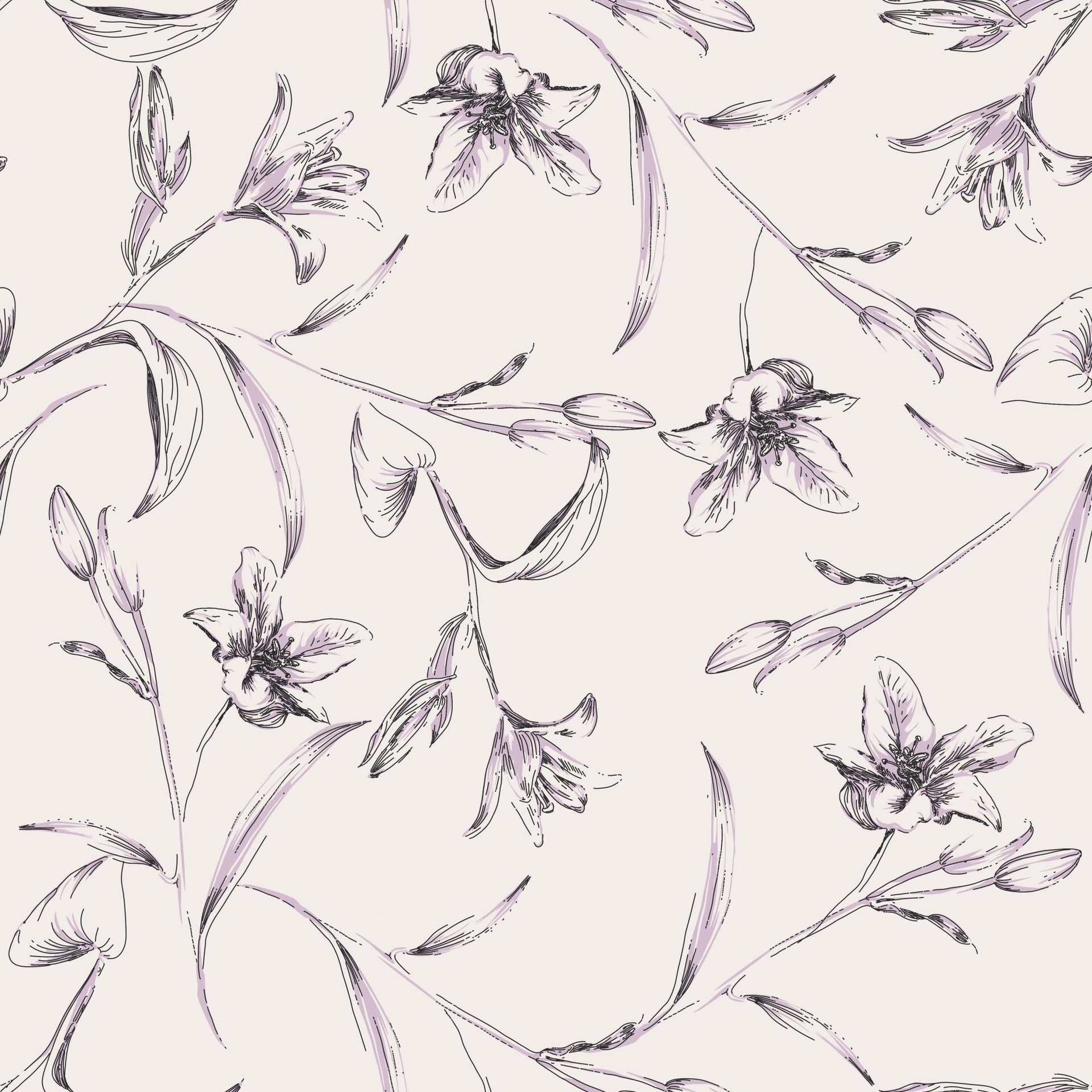 Outline Lily Fowers - Tomono