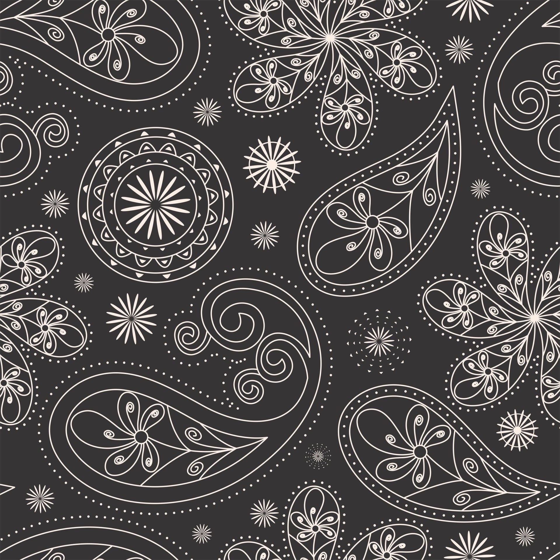 Paisley bandana - Tomono