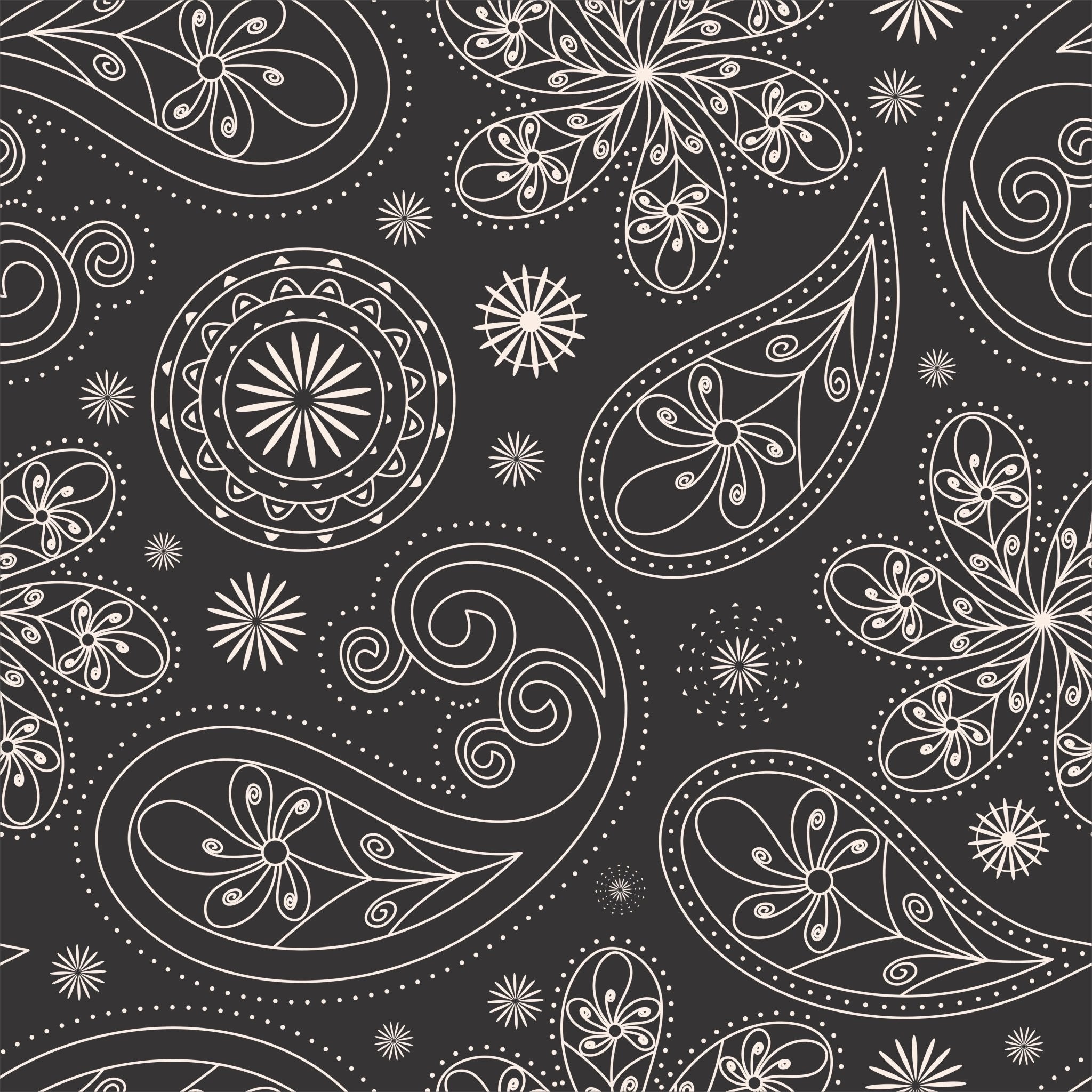 Paisley bandana - Tomono