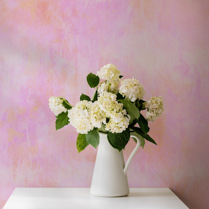 Pink Background - Tomono