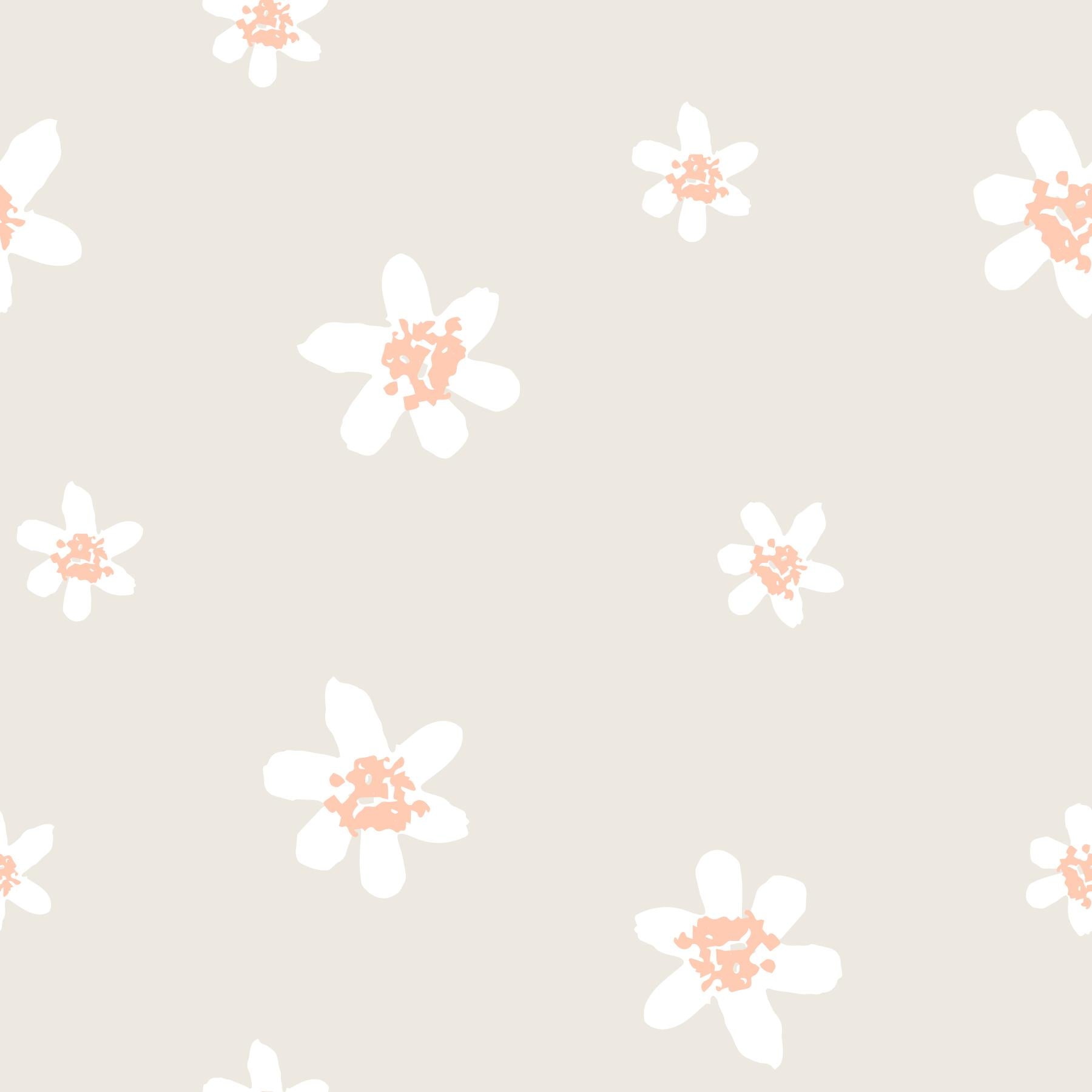 Soft Daisies - Tomono