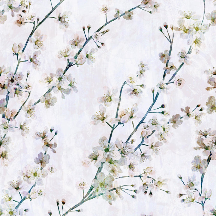 Spring Apple Blossom - Tomono