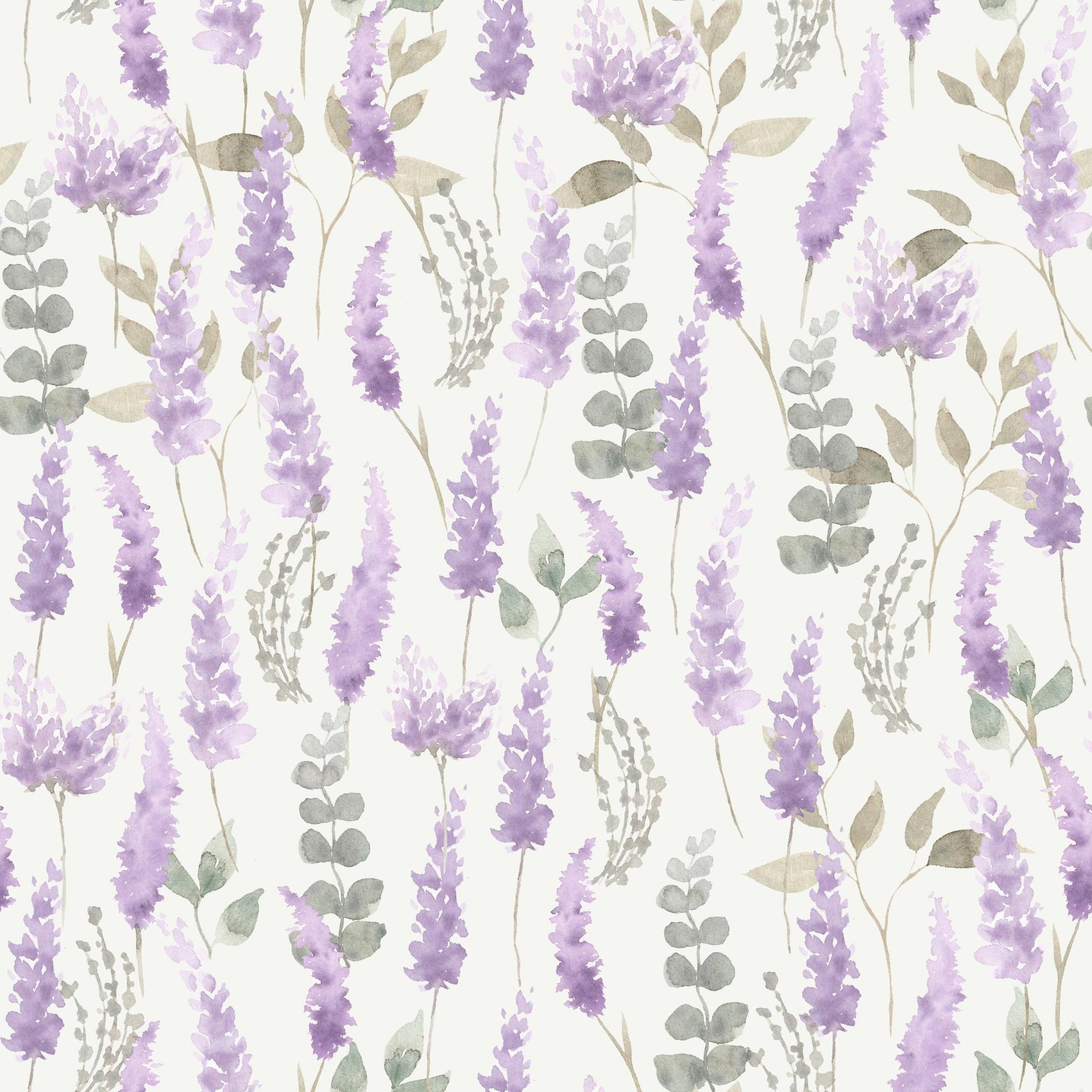 Sweet Lavender - Tomono