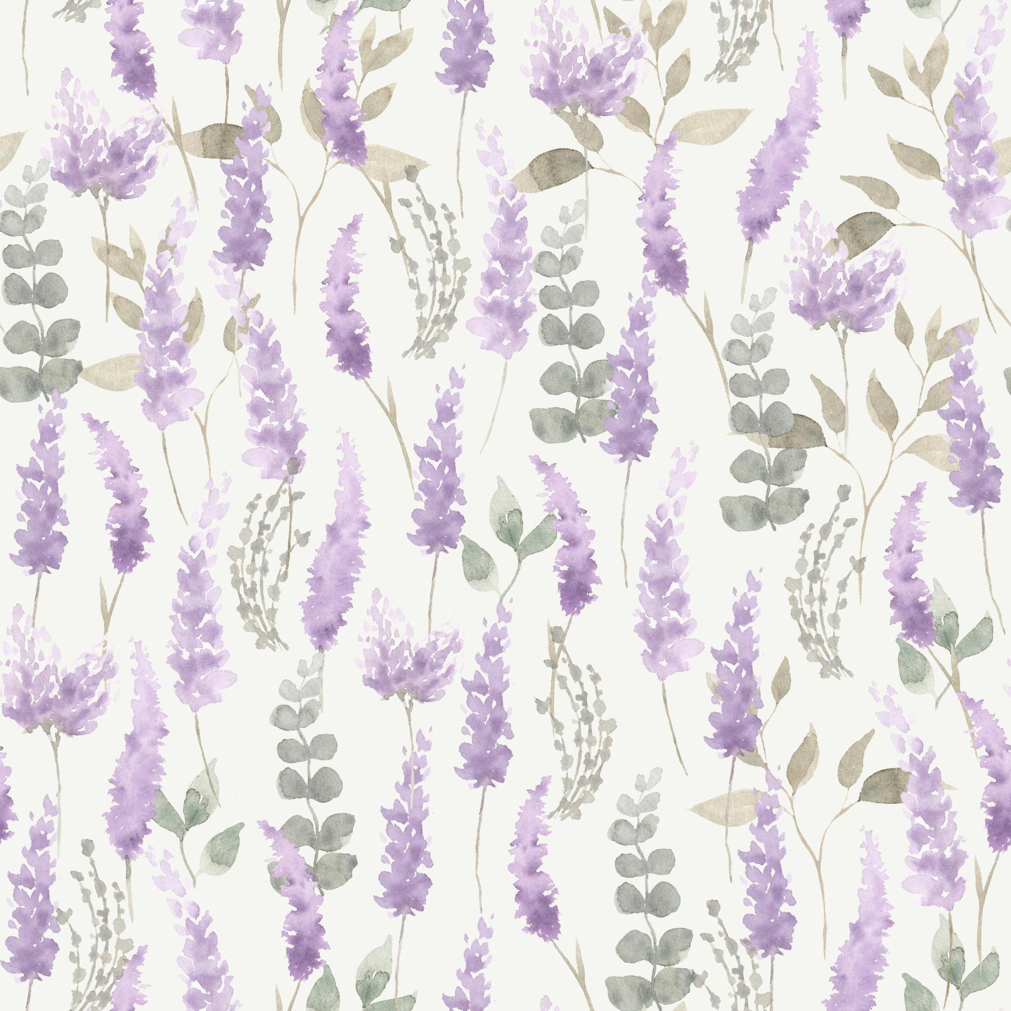 Sweet Lavender - Tomono