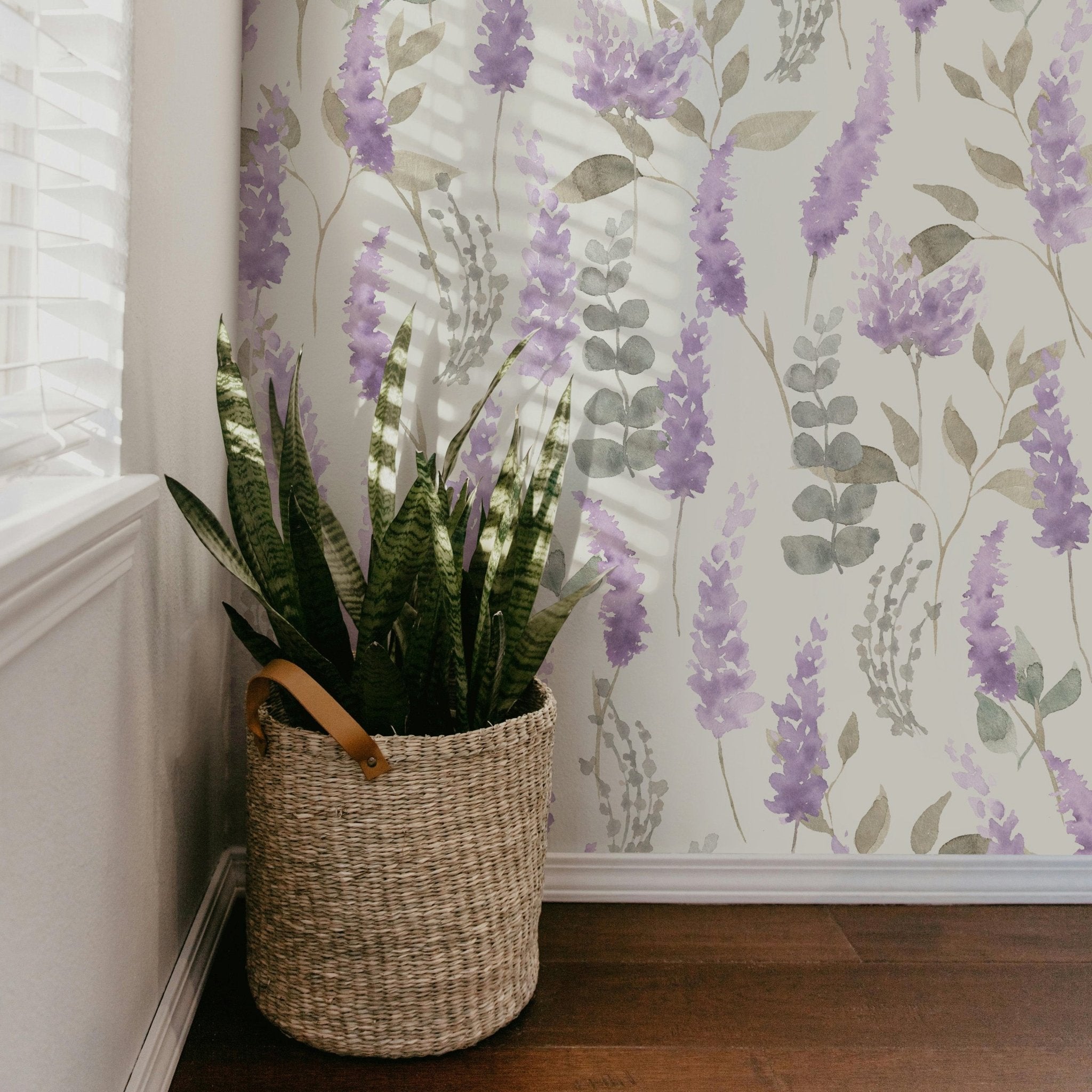 Sweet Lavender - Tomono