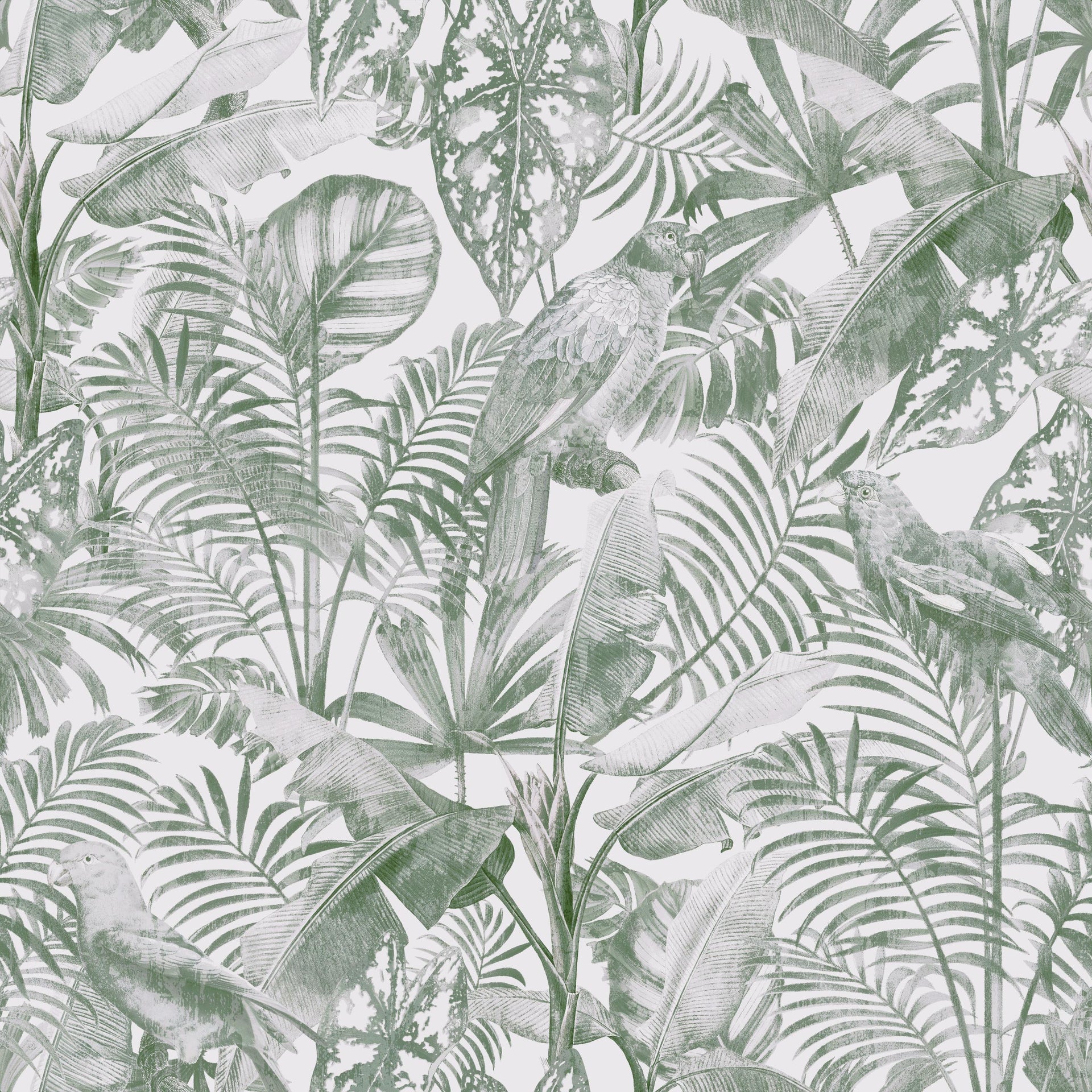 Tropical Wallpaper