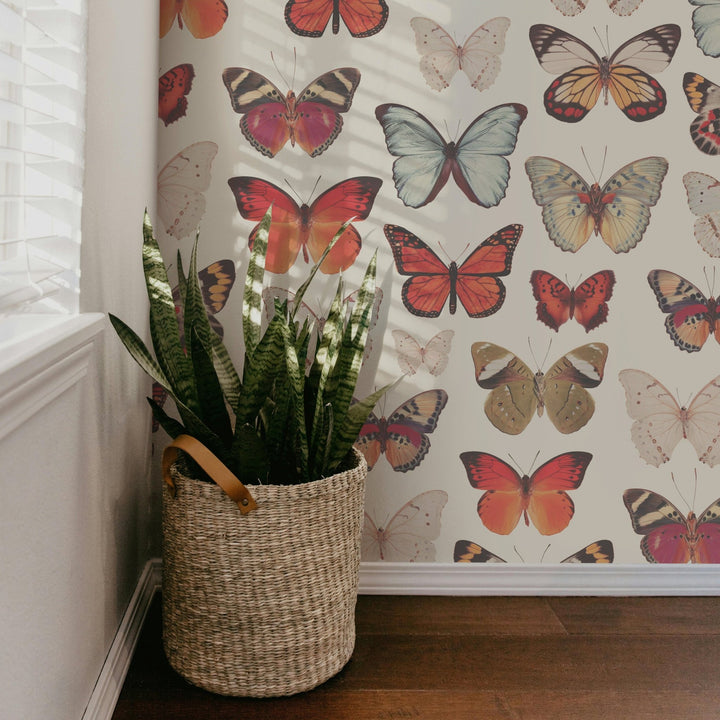 Vintage Butterfly - Tomono