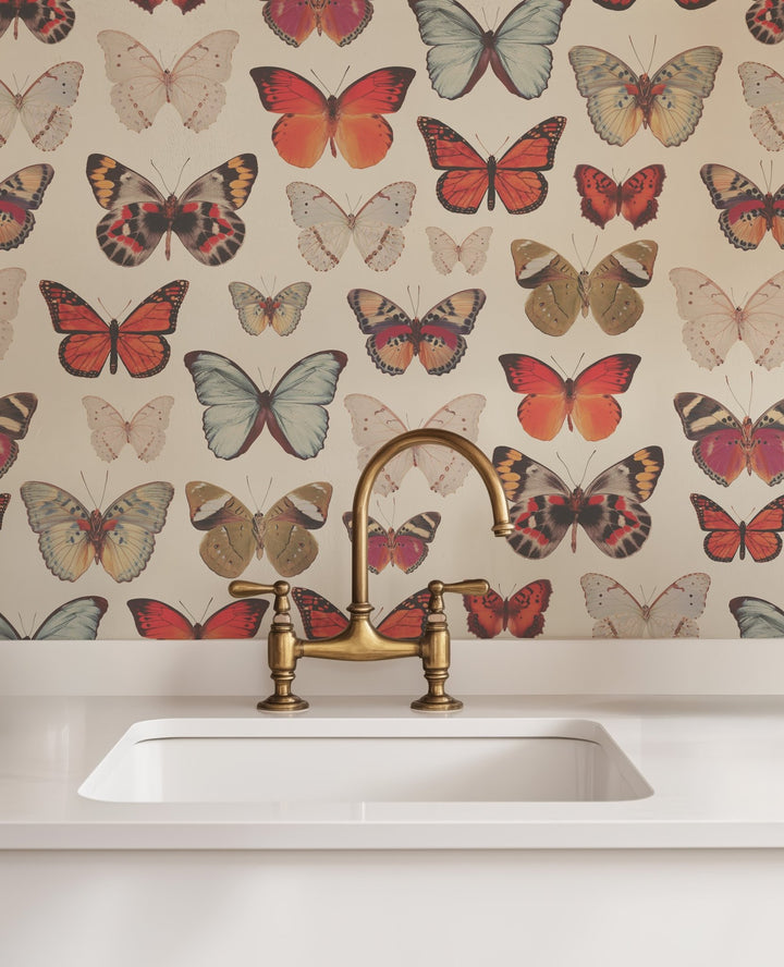 Vintage Butterfly - Tomono