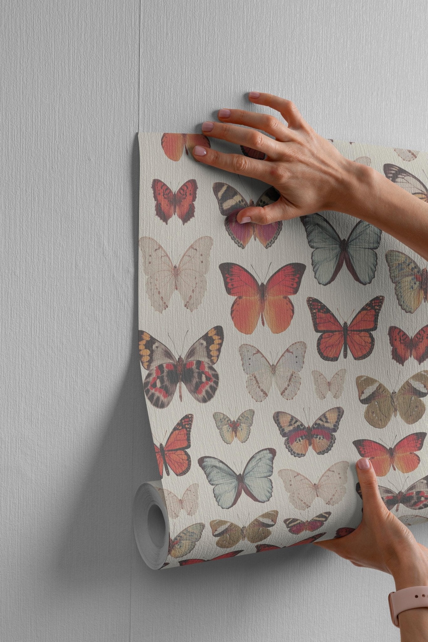 Vintage Butterfly - Tomono