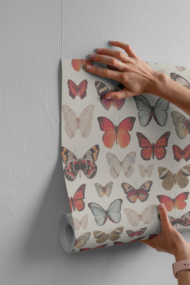 Vintage Butterfly - Tomono