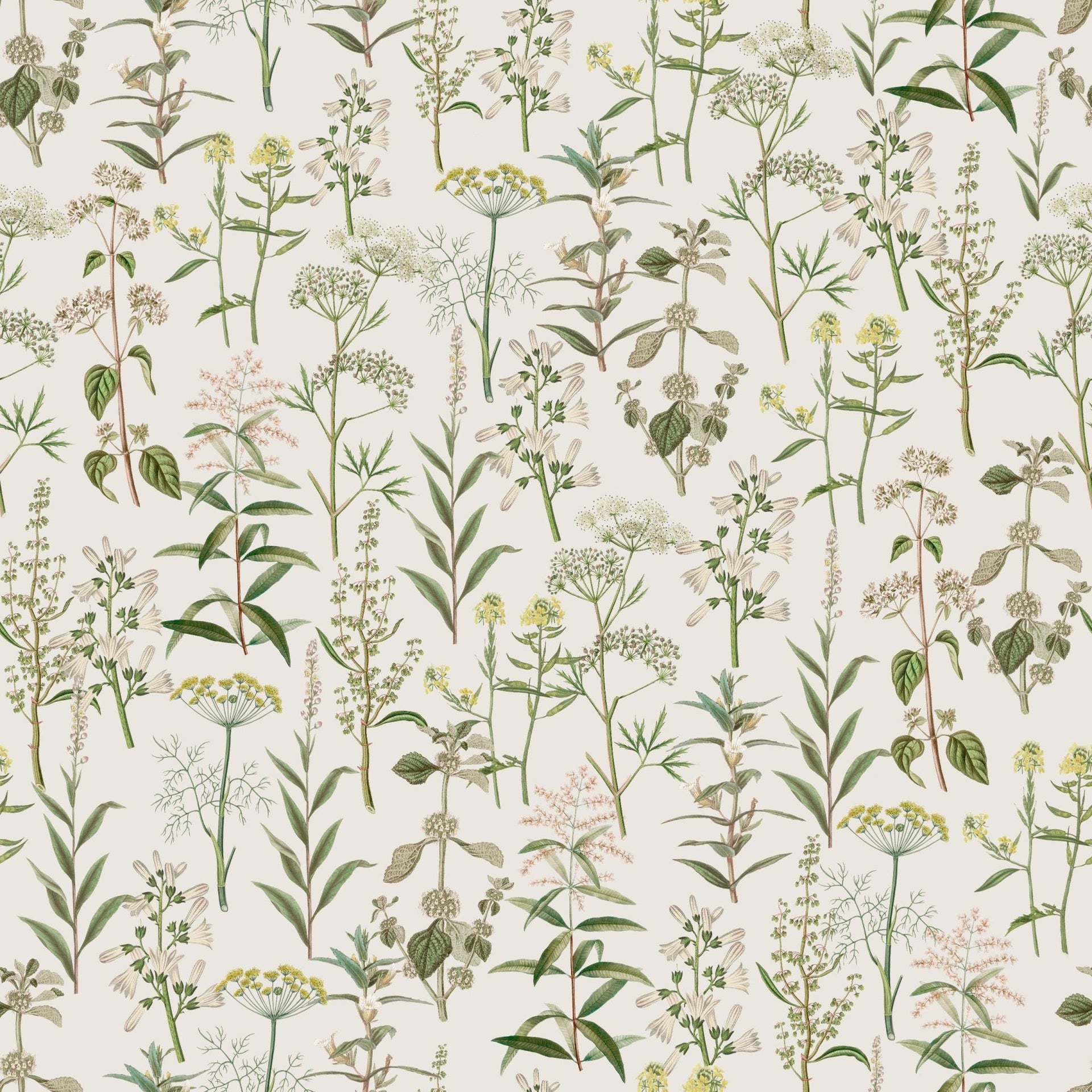 Vintage Herbs - Tomono