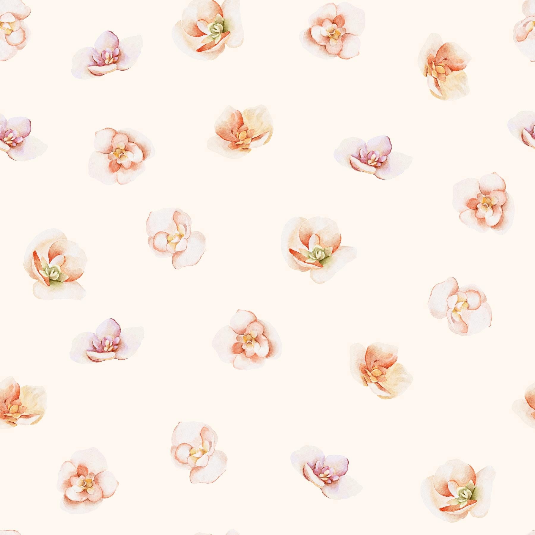 Warm Flowers - Tomono