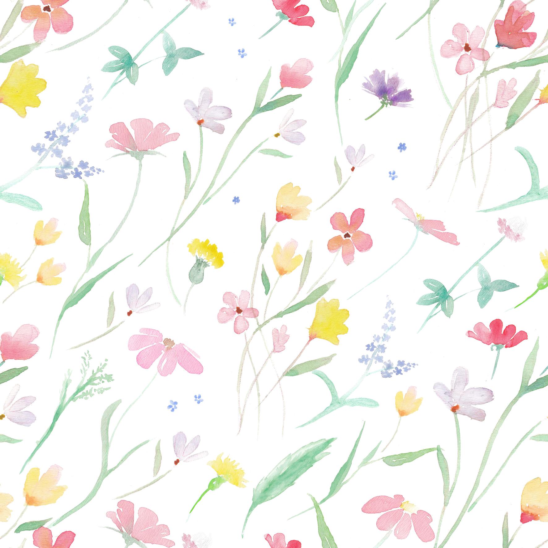 Wild Flowers - Tomono