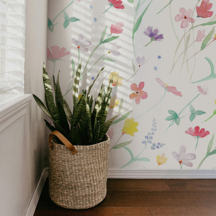 Wild Flowers - Tomono