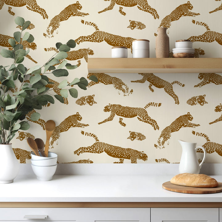 Wild Leopards - Tomono