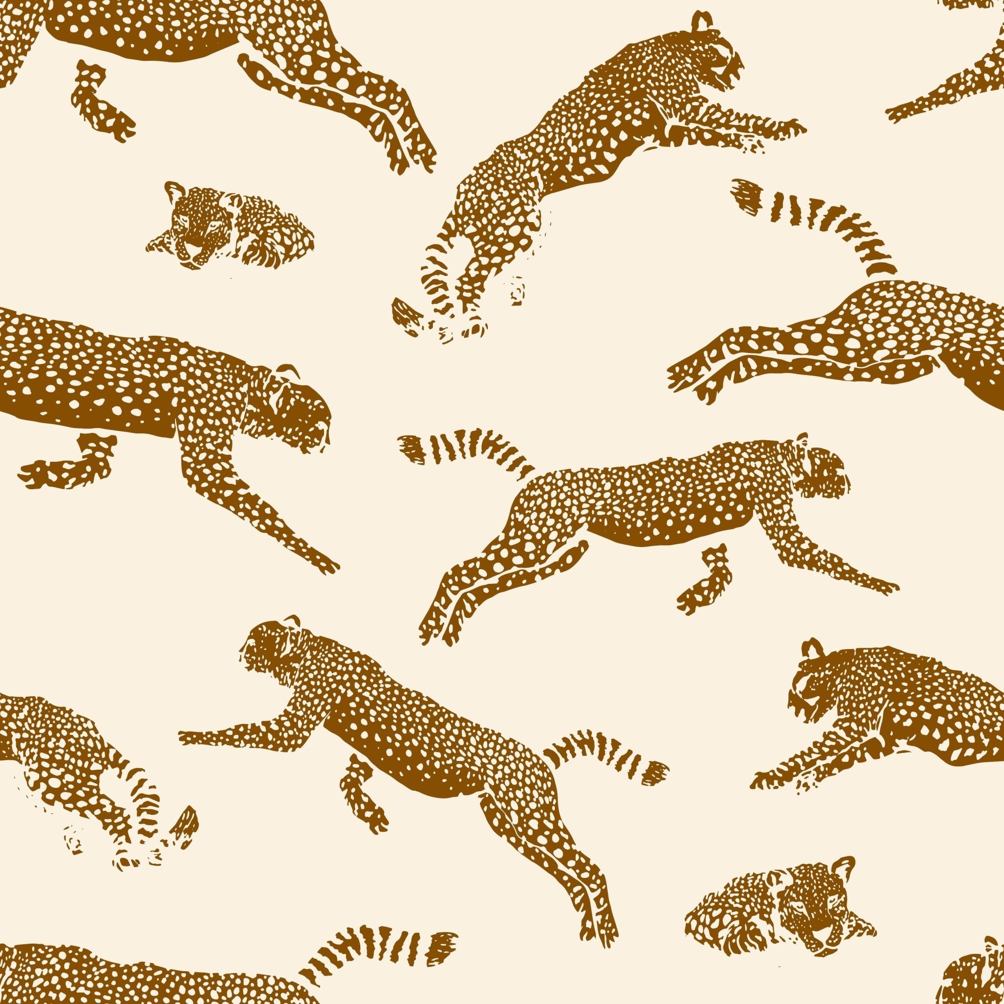Wild Leopards - Tomono
