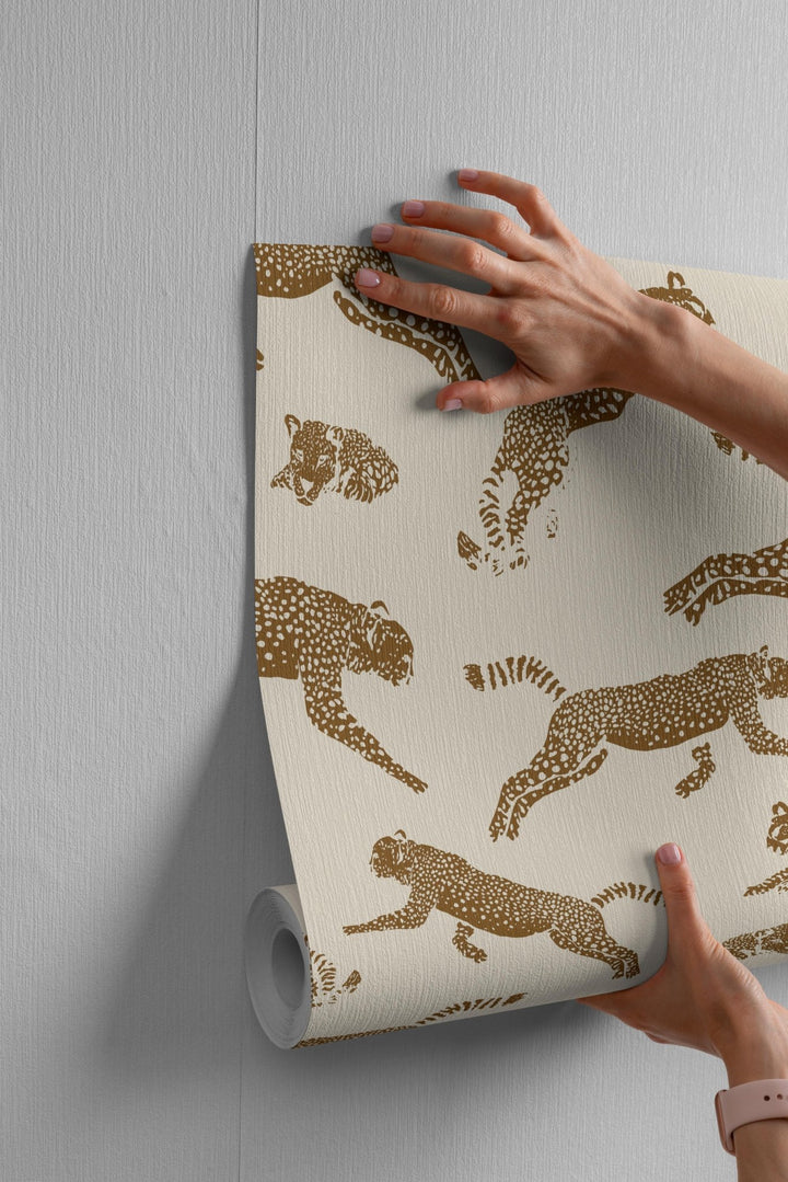 Wild Leopards - Tomono