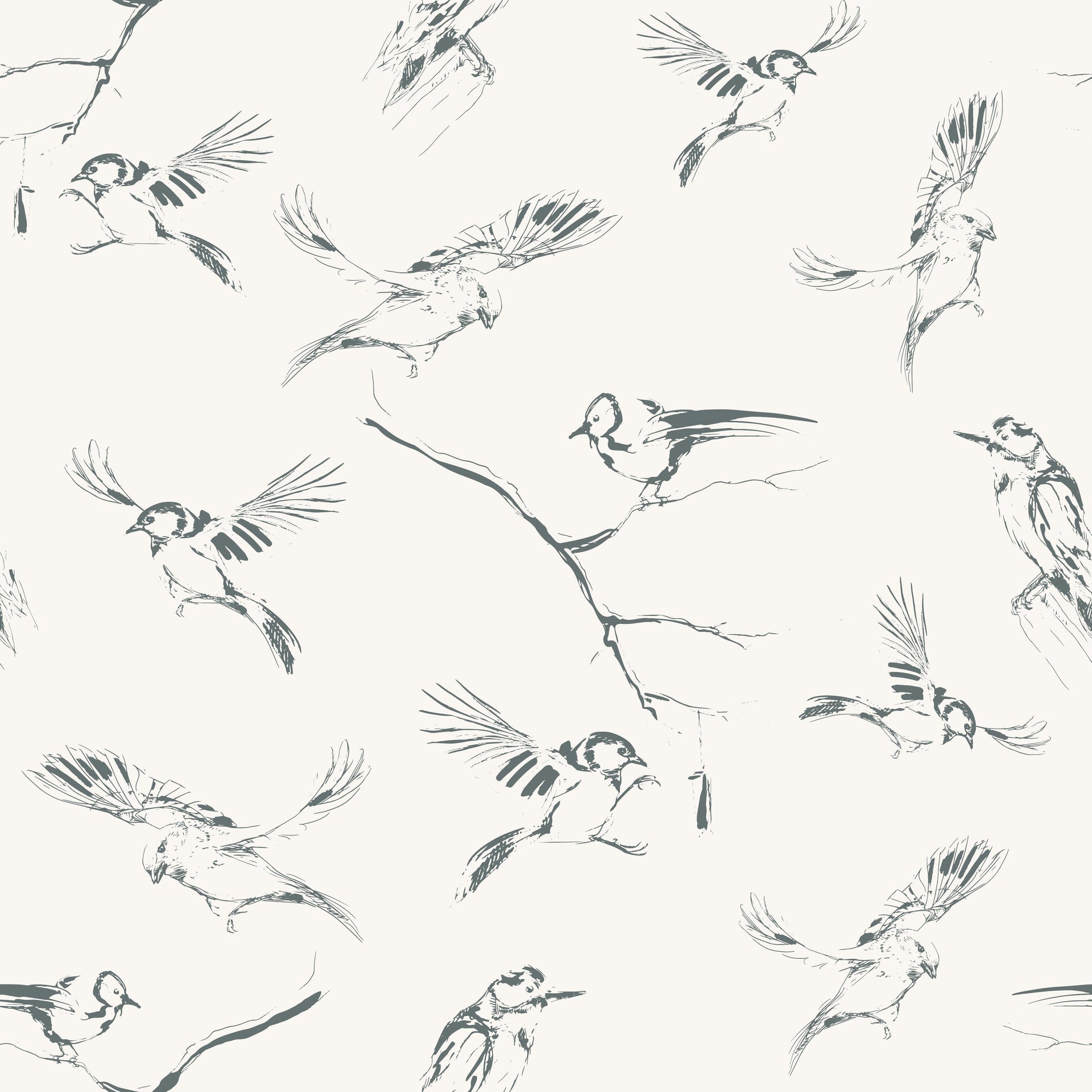 Winter Birds