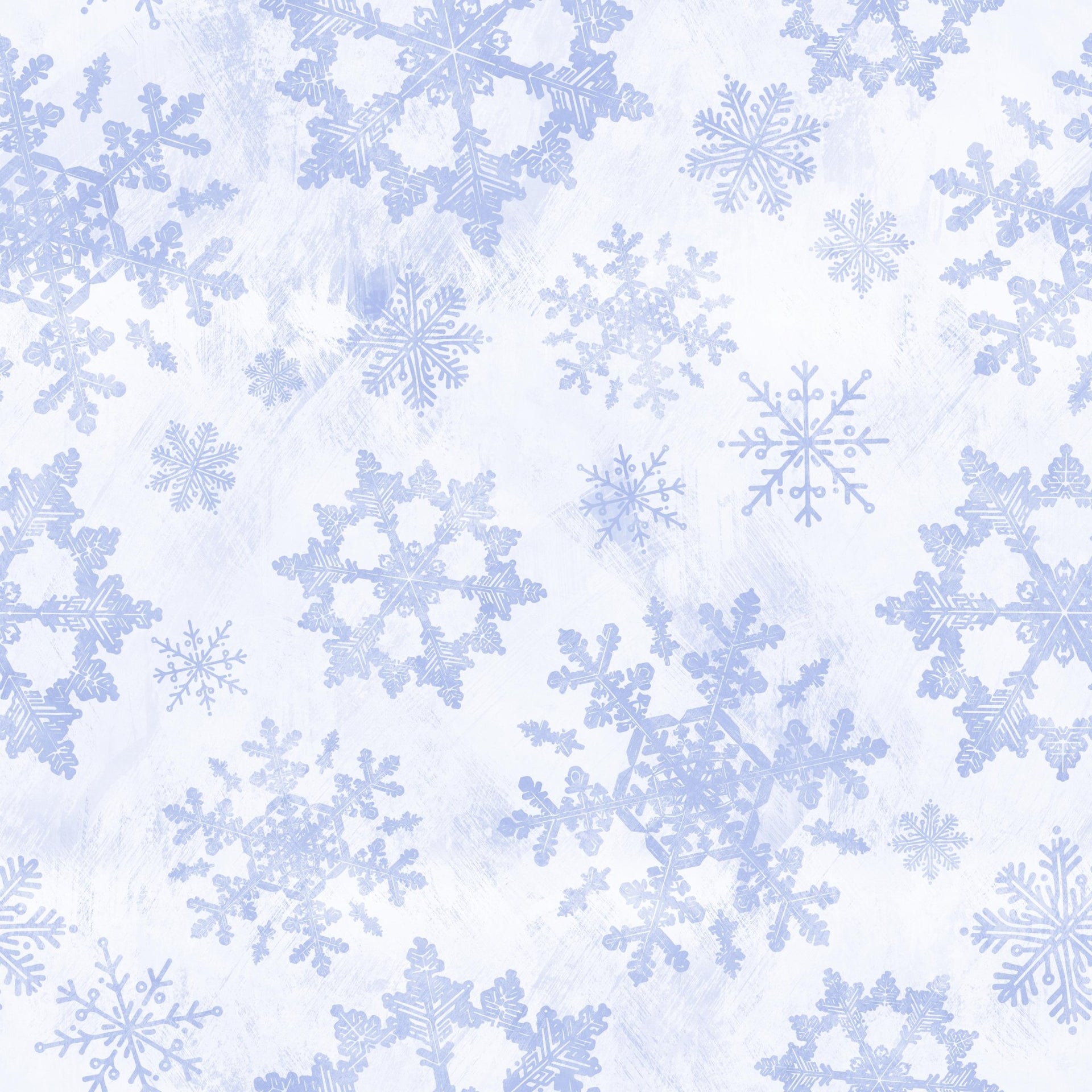 Winter Stars - Tomono