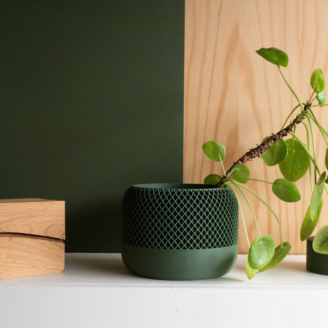 Green Planter / Vera
