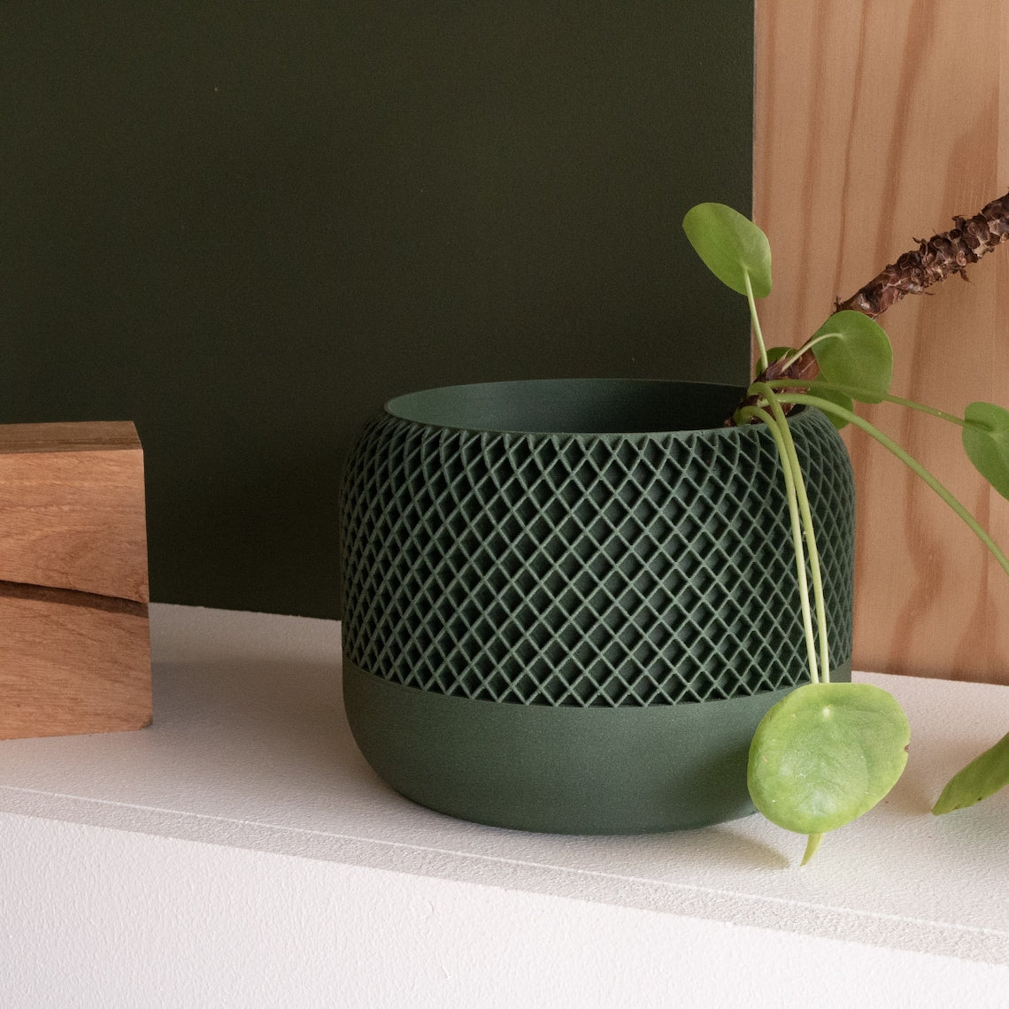 Green Planter / Vera