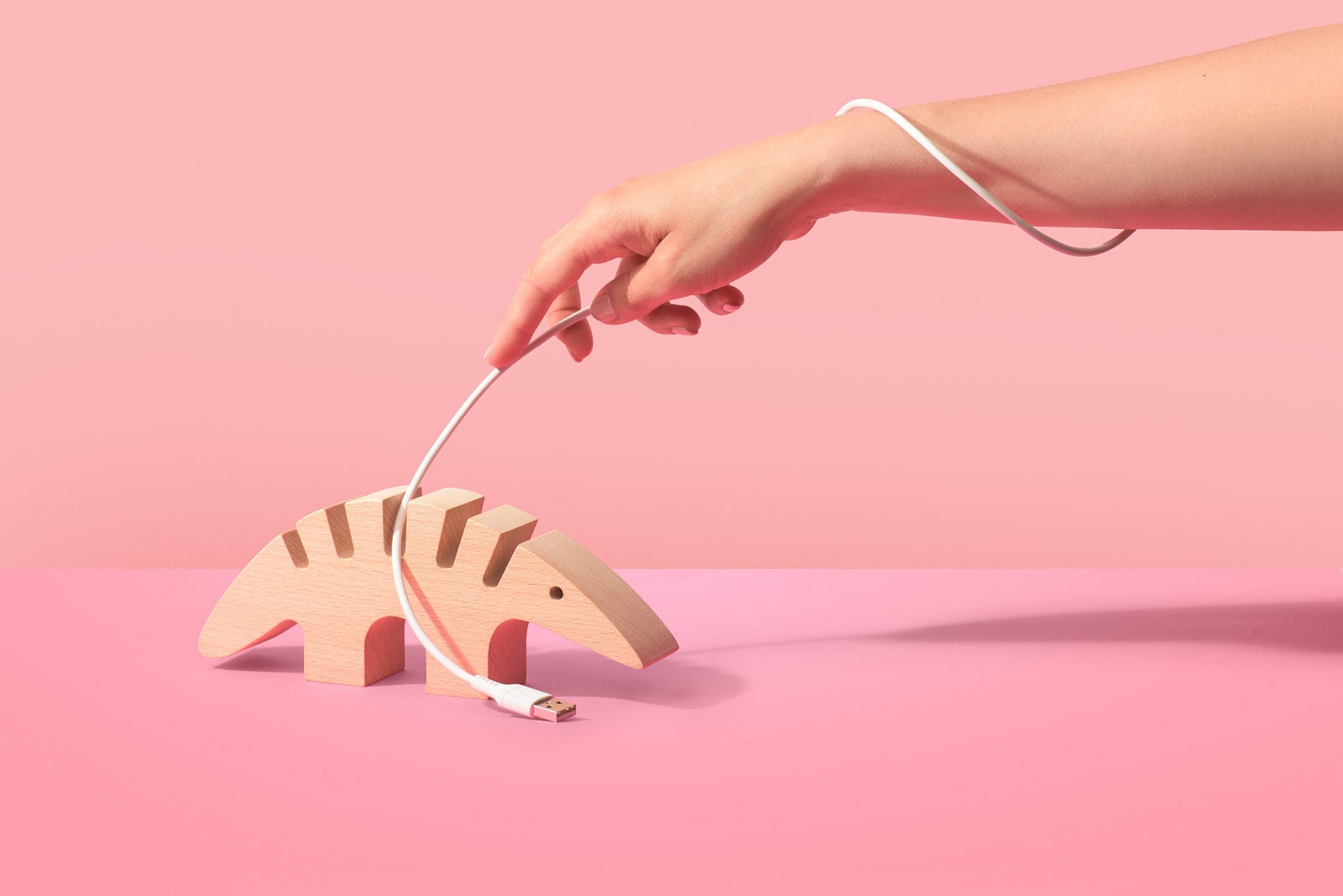 Organizer. Cable Eater. Desktop Cord Holder.