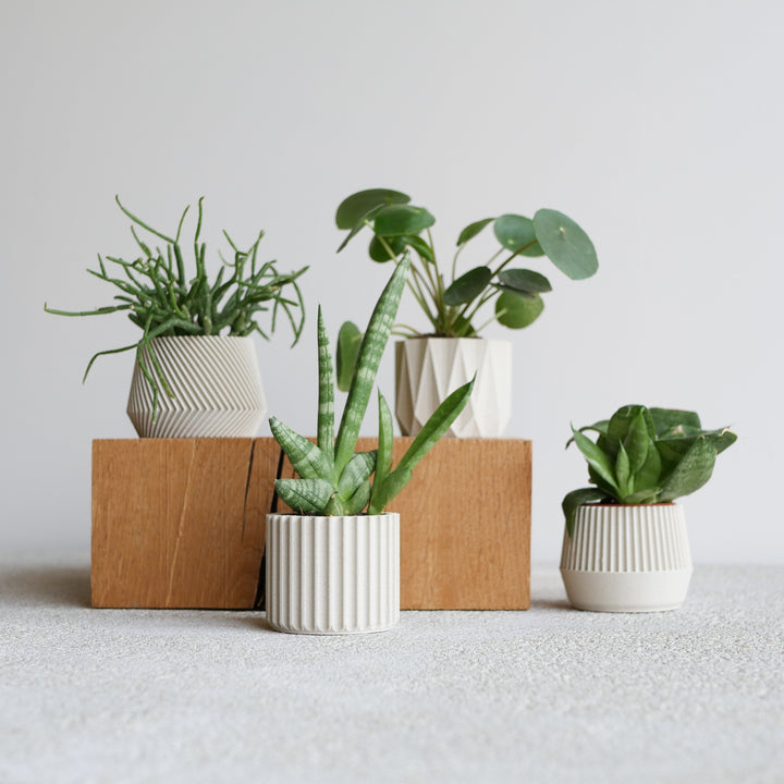 Set of 4 Small Indoor Planters White - Original Planter Gift !