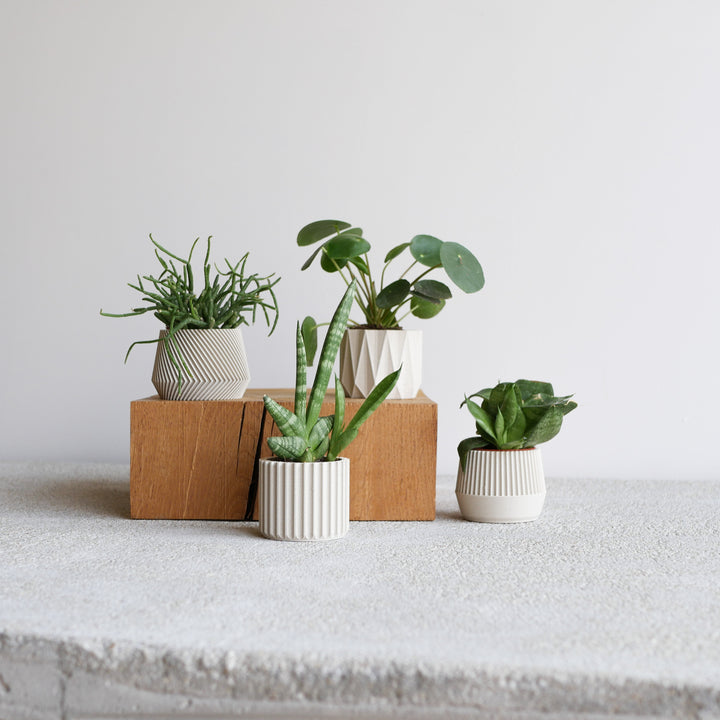 Set of 4 Small Indoor Planters White - Original Planter Gift !