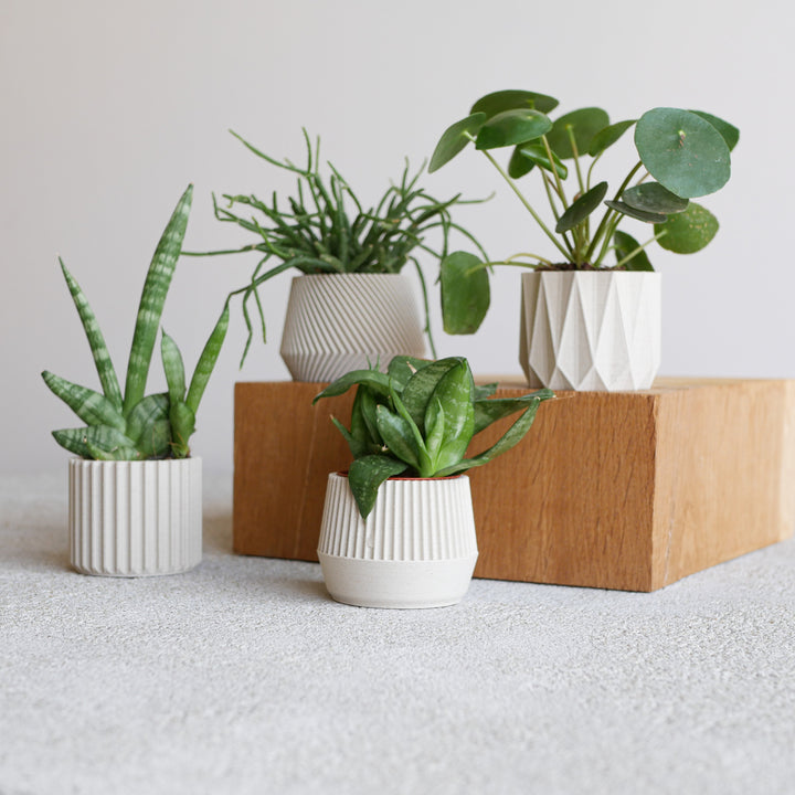 Set of 4 Small Indoor Planters White - Original Planter Gift !